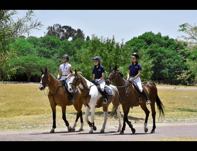 LAND FOR SALE IN KYALAMI AH